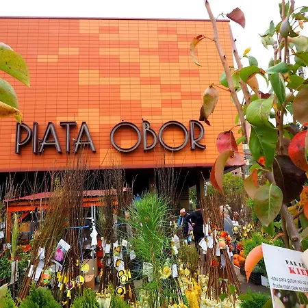 Apartment Cozy Retreat, Obor Market & Metro Bukarest