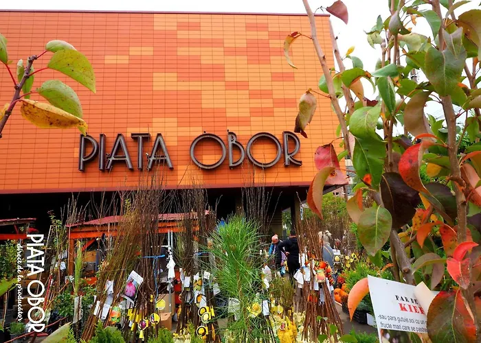 아파트 Cozy Retreat, Obor Market & Metro 부쿠레슈티